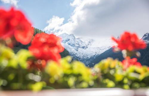 Alpenblick Nr 5 - Photo 3