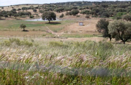 Herdade das Pintas - Foto 28