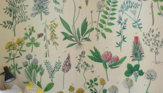 Steeple View - Romantic Wye Valley Country House Studio Apartment - Dog Friendly - Foto 5