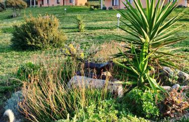agriturismo gli olivastri appartamento corbezzolo con piscina e vista mare,climatizzatore,wifi - Photo 22