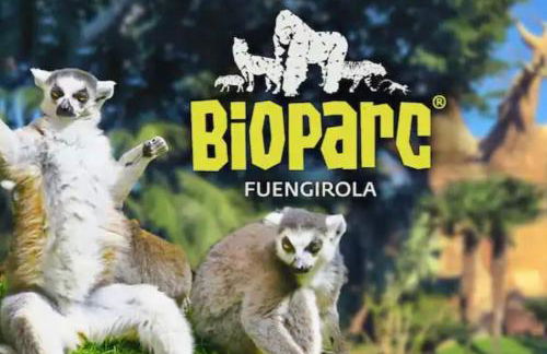 2 BEDROOMS NEXT TO THE BEACH&MIRAMAR SHOPPING CENTER-SWIMMING POOL-PARKINg - Photo 31