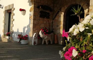 Agroturismo Pagoederraga - Foto 11