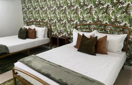 Tropical Oasis - Foto 1