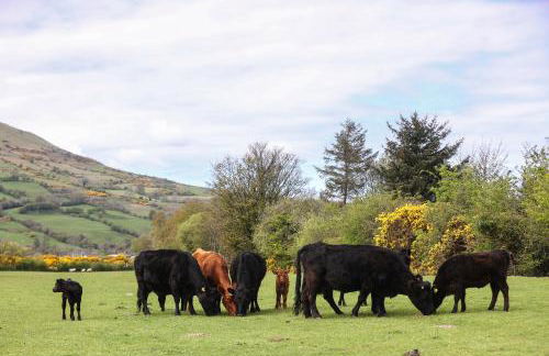 GlenHaven Holiday Accommodation - Foto 46