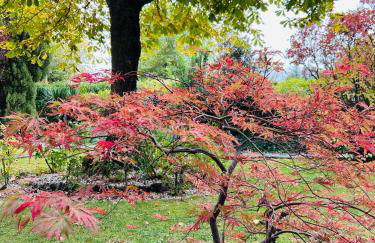 Villa Aurelia - Casa de campo con jardín y piscina entre Madrid y Segovia - Photo 72