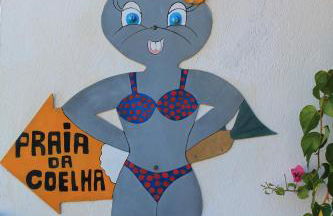 Casa Portuguesa - Foto 15