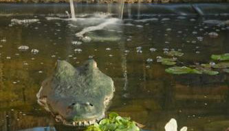 Desperado - CA King Size Bed - Sleeps 2-4 - Photo 2