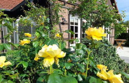 Ferienhaus Gartower See - Foto 15