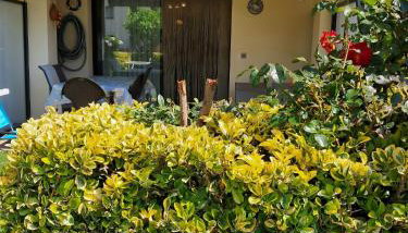 Edificio Millenium II apartamento villabonita - Foto 2