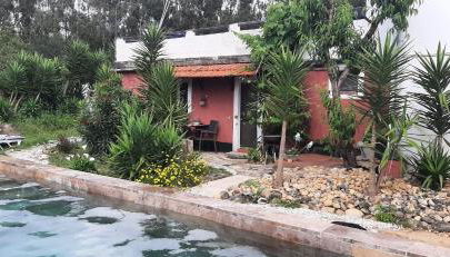 Yuccasa - Small Glamping Camping & Studio's - Foto 4, Garden, Garden view