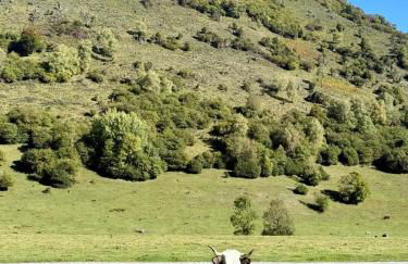 Résidence Bonnecaze - Foto 20