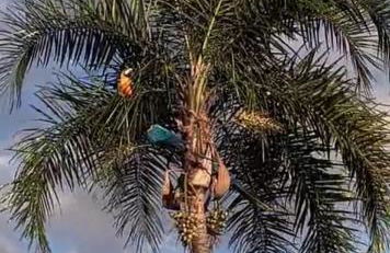 Eco Pousada Por do Sol - Foto 29