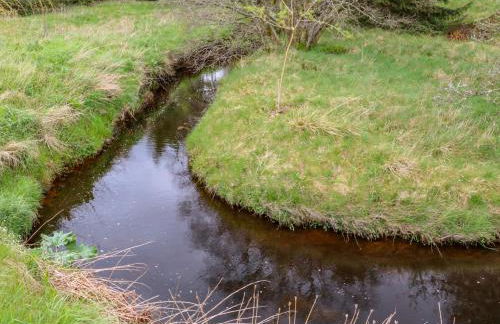 Gallow Law Cottage - Foto 40