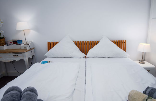 Kegelrobbe - Foto 17