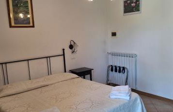 Cecco di Nara - Foto 10