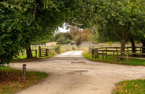 Snug Cotswolds Farm Cottage - The Henloft - Foto 72