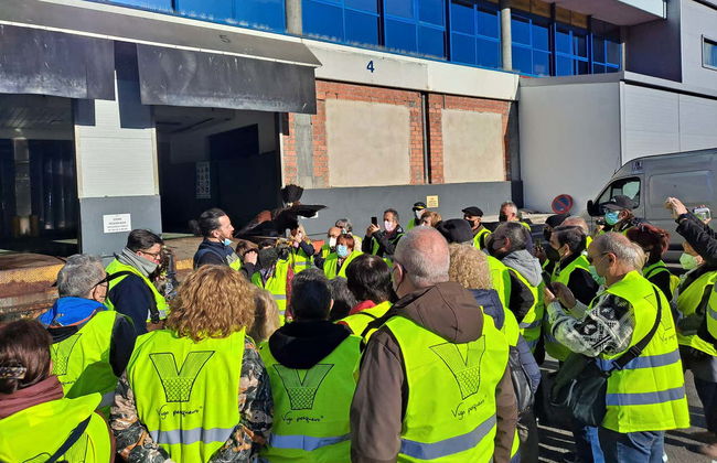 Visite du port de Vigo + Visite d'un vivier à crustacés - Photo 3