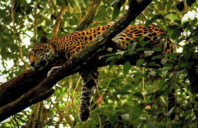 Costa Nube - Foto 55