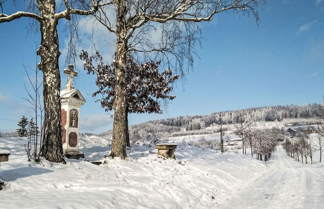 Růžovka - Photo 75