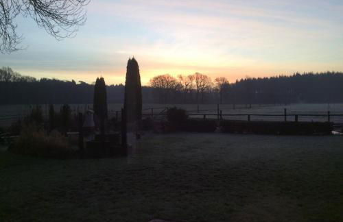 Ferienwohnung am Mühlendamm - Foto 12