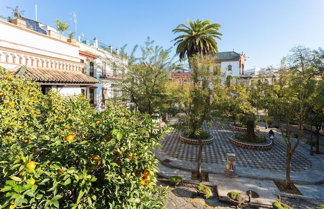 Plaza de los Refinadores - Foto 17