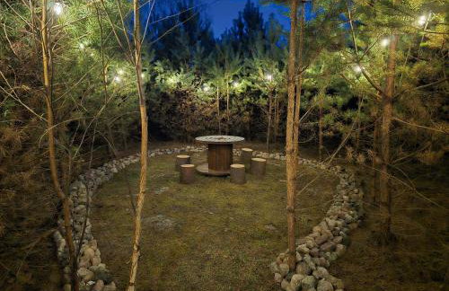 Domki Bory Tucholskie - Kurs na wypoczynek - Foto 9