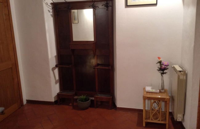 Vellutini Number One - Foto 59