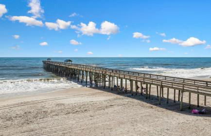 667 Amelia by the Sea condo - Foto 128