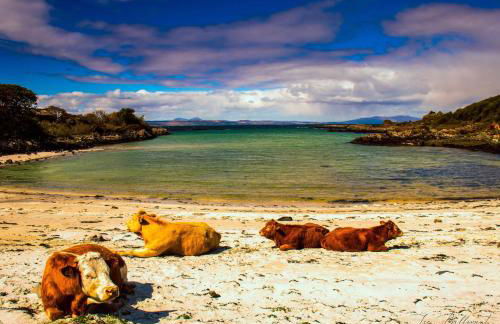 An Outdoor Enthusiasts Piece of Heaven - Photo 44