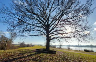 Ankerplatz direkt am Altmühlsee bei Juliane und Klaus - Foto 19