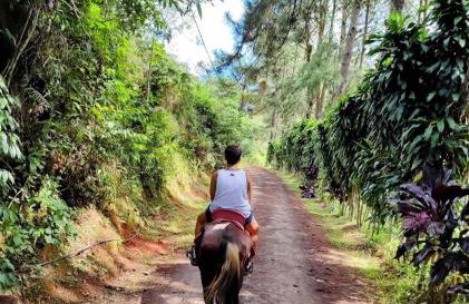 Hotel Fazenda Rancho Mineiro - Foto 10