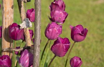 Moderne, gemütliche DG-Wohnung in ruhiger Lage - Foto 32