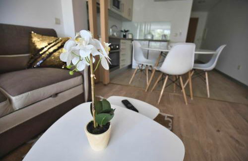 Camoes StudioGeral - Foto 9