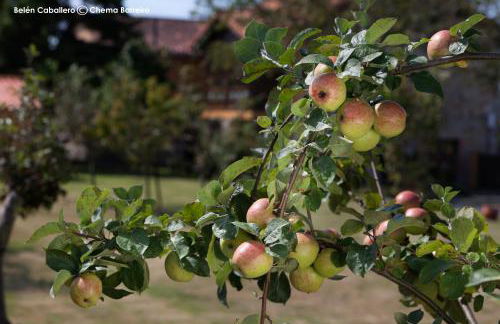La Casona de Quintes - Foto 75