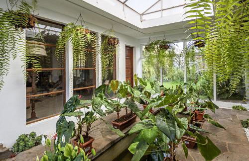 Las Sabinas Villa - El Guincho, Garachico - Foto 28