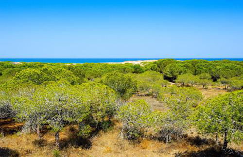 Luxury Pinada Beach - Foto 29