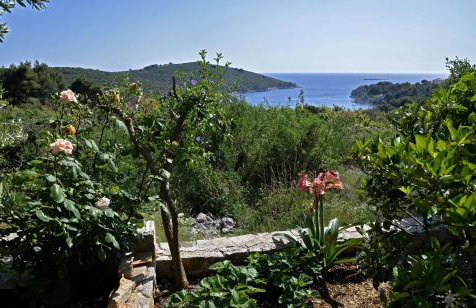 Apartments Toni - Photo 26