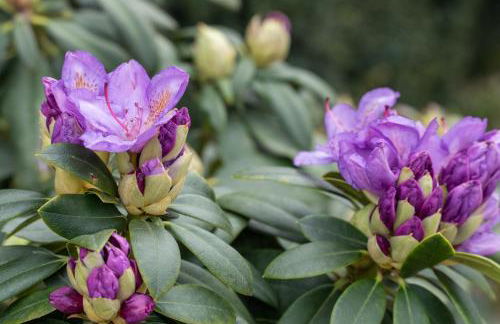 Agriturismo Pozzo Fiorito - Foto 97