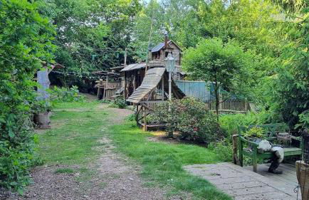 Waldnest Odenwald - Waldhauszimmer - Photo 13