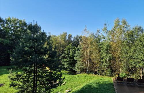 Budzi nas las Marcyporęba - Duży domek - Photo 29