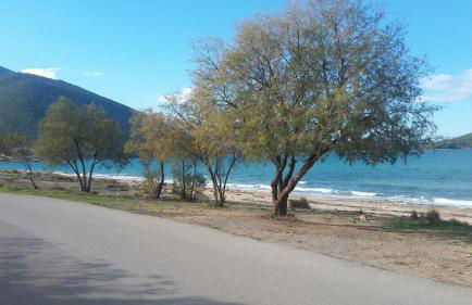 Villa MARGIANI - Foto 51