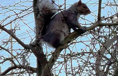 All Season Holiday Seashore Getaway! - Foto 16