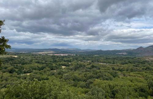 Casa do Terrado - Photo 21