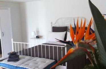 Villa la Rina - Foto 9