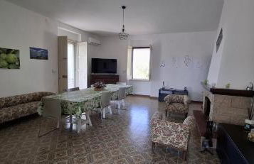 Olivo Macchia - Foto 13