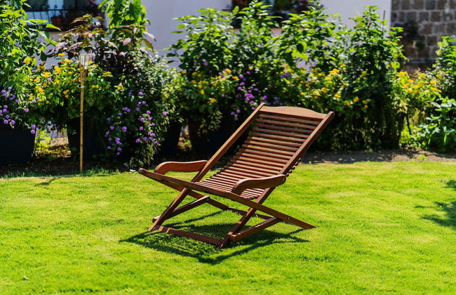 Lemon Factor Sorrento - Photo 20