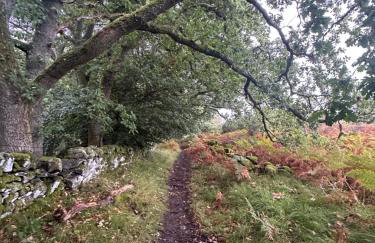 Red Squirrel Cottage - Foto 19