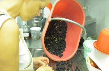 Agriturismo Ponterosa - Foto 67