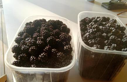 Domek nad jeziorem Strykowskim - Foto 41