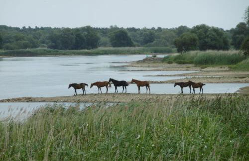 Oderbruchhütte - Photo 50